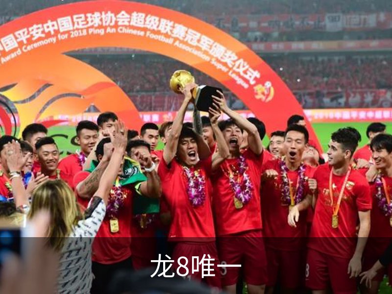 龙8唯一简介